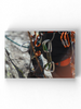 Climbing Gear And Equipment Wrapped Canvas -Image by Shutterstock